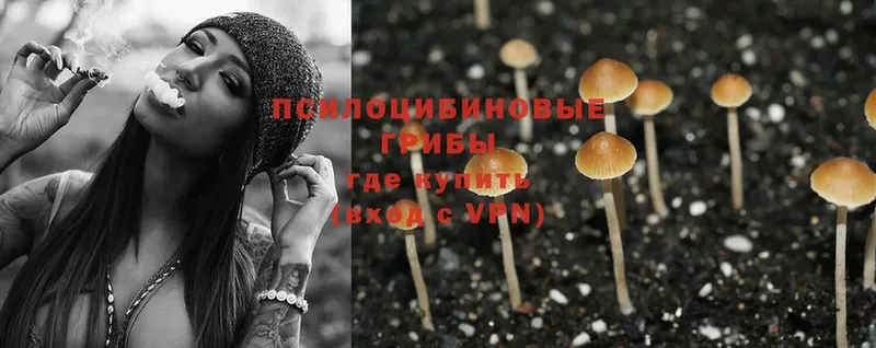 shop официальный сайт  Ворсма  Галлюциногенные грибы Psilocybine cubensis  блэк спрут как зайти 